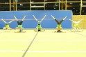 show (19)